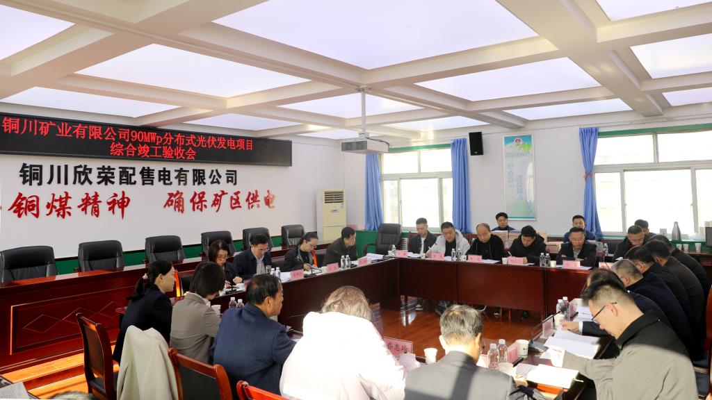 公司90兆瓦分布式光伏發(fā)電項(xiàng)目順利通過(guò)集團(tuán)綜合竣工驗(yàn)收